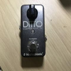 tcElectronic DITTO LOOPER 【エフェクター】【ルーパー】のサムネイル