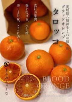 Marumiブラッドオレンジ❀5キロ❀のサムネイル