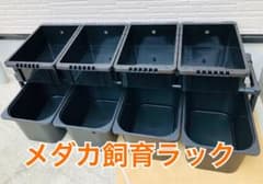 メダカ飼育ラック ブラック【接着剤付】NVBOX13を2段で8ケース置けます