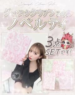 Rady  ダマスク柄クリアファイル♡のサムネイル