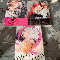 BL3冊セット売りのサムネイル