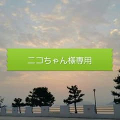ニコちゃん様専用☆全部セットです！スティッチ♪&全部で300円のサムネイル