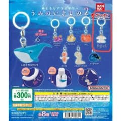 めじるしアクセサリー うみのいきもの2 コティロリーザツベルクラークのサムネイル