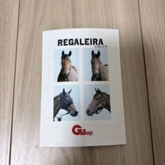 レガレイラ　Gallop フォトプラス　名馬証明写真風のサムネイル