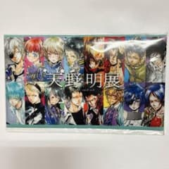 天野明展 ポストカードセット 家庭教師ヒットマンREBORN エルドライブ