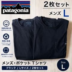 パタゴニアTシャツ２枚セット(バラ売り可) Patagonia パタゴニア Tシャツ 2枚セット L ブラック - メルカリ