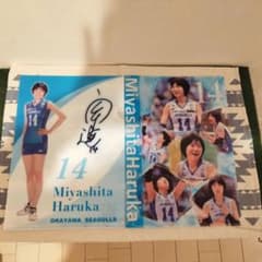 宮下遥さんクリアファイル２枚セットおまけ付きのサムネイル