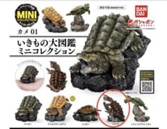 【開封済】いきもの大図鑑　ミニコレクション カメ01 マタマタのサムネイル