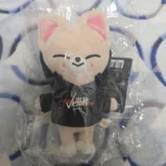 stray kids skzoo ぬいぐるみ　フォクシニー アイエン　ミニ Stray Kids skzoo フォクシニー アイエン ぬいぐるみ - メルカリ