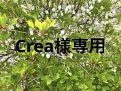 Crea様専用　クランクアームのみのサムネイル