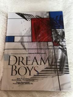 DREAMBOYS 2015 パンフレットのサムネイル