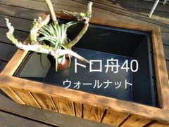 めだかの畔】トロ舟40と木枠セット(ウォールナット) - メルカリ