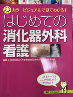 はじめての消化器外科看護 カラービジュアルで見てわかる!のサムネイル