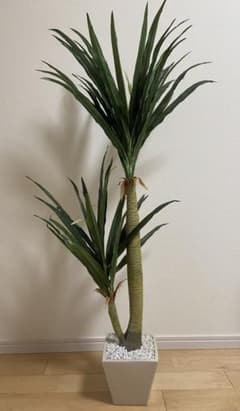 観葉植物ユッカ（造花）のサムネイル