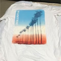 Hollister Tシャツのサムネイル