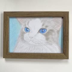 10月8日まで J24 「ラグドール」手描き原画 猫 イラスト 色鉛筆 一点物