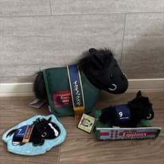 サラブレッドコレクション　イクイノックス　3点セット　パドック　黒服　パスケース