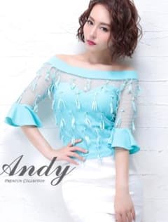 andy ブラウス　新品未使用のサムネイル