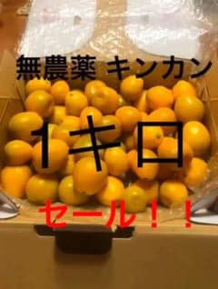 キンカン Lサイズ 1キロのサムネイル