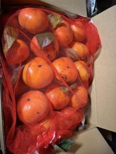 なかよし様専用ページです。お申し込みされて無い方のお買い上げはご遠慮願います。のサムネイル