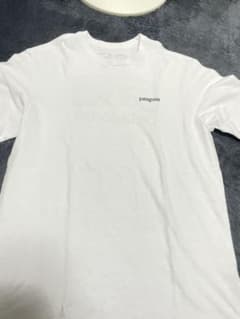patagonia パタゴニア Tシャツのサムネイル