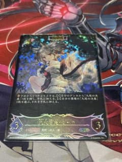 九火石炎・セッカ　ADVANCE SLのサムネイル