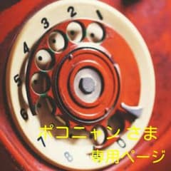 ポコニャン さま  専用ページのサムネイル