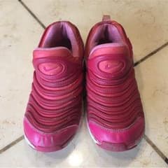 NIKE ダイナモフリー20㎝のサムネイル