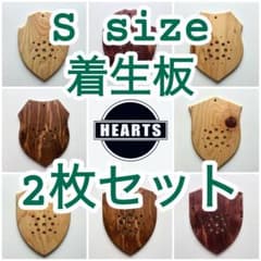 着生板　Lsize お得な2枚セット　ビカクシダ　コウモリラン　板付　着生材 着生板 Ssize お得な2枚セット ビカクシダ コウモリラン 園芸用品 着生