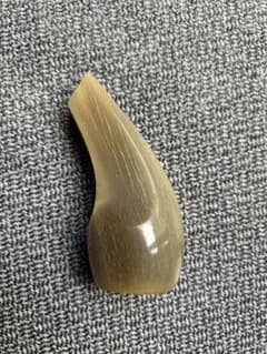 【大】三線バチ(爪) オランダ水牛角製 Lサイズのサムネイル
