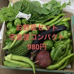 おまけのパッションフルーツ と夏野菜詰め合わせ 宅急便コンパクト 980円のサムネイル