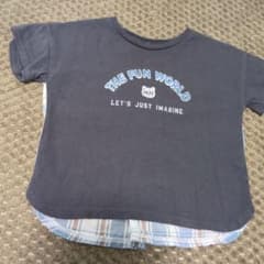 THE FUN WORLD Tシャツ バックチェック切替のサムネイル