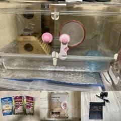 【超お得セット】　ハムスター　飼育セット　ＧＥＸ　グラスハーモニー　450のサムネイル