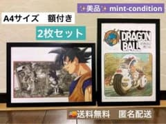 m52234610567_1.jpg?1766549888