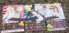 至上最強の総長は私を愛しすぎている。 1巻〜3巻セットのサムネイル
