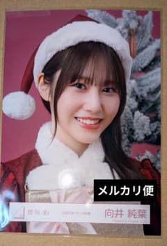 向井純葉 2025年サンタ衣装 ヨリ - メルカリ