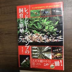 レッドビーシュリンプの飼育と繁殖 : トップクラスのブリーダーがコツを伝授!のサムネイル