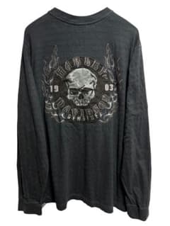 希少HARLAY DAVIDSON ハーレーダビッドソン ロンT 刺繍ロゴ XLのサムネイル