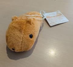 신품 태그 첨부 카피바라씨 봉제인형 마스코트 밴프레스트