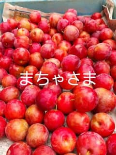 まちゃさま専用のサムネイル