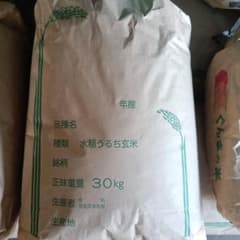 令和7年度産あさひの夢玄米 30kg ！！ 農家直送！！きゅうりのおまけ