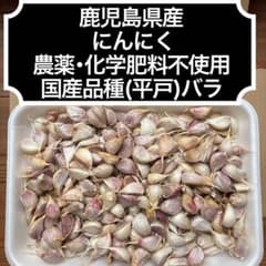 りんです‼️鹿児島県産 農薬不使用 2026年産 平戸(バラ)10kg 鹿児島県産 農薬不使用 2026年産 にんにく 平戸(バラ) 900g - メルカリ