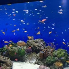 まいさま専用のサムネイル