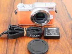 Panasonic LUMIX DC-GF9 ボディー ショット数 2724回 - メルカリ