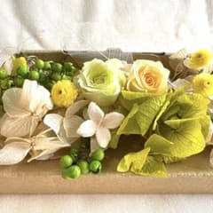 花材セット グリーン  Ｎｏ．528 花材セット グリーン No．528 【公式通販】