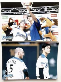 北海道日本ハムファイターズ 大谷翔平 横尾俊建 レアード ハイライトフォト 写真