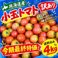 北海道産 農家直送 小玉トマト 訳あり 4kg(箱込み)のサムネイル