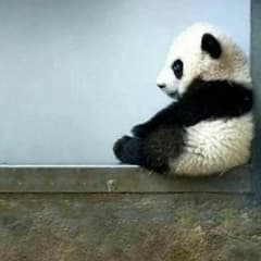 まゆ様 専用のサムネイル