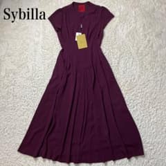 【新品タグ付き】Sybilla タッキングデザインドレス GDEEM-21390 新品タグ付き】Sybilla タッキングデザインドレス GDEEM-21390 - メルカリ