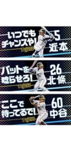 阪神タイガース　シークレットタオル　近本選手のサムネイル